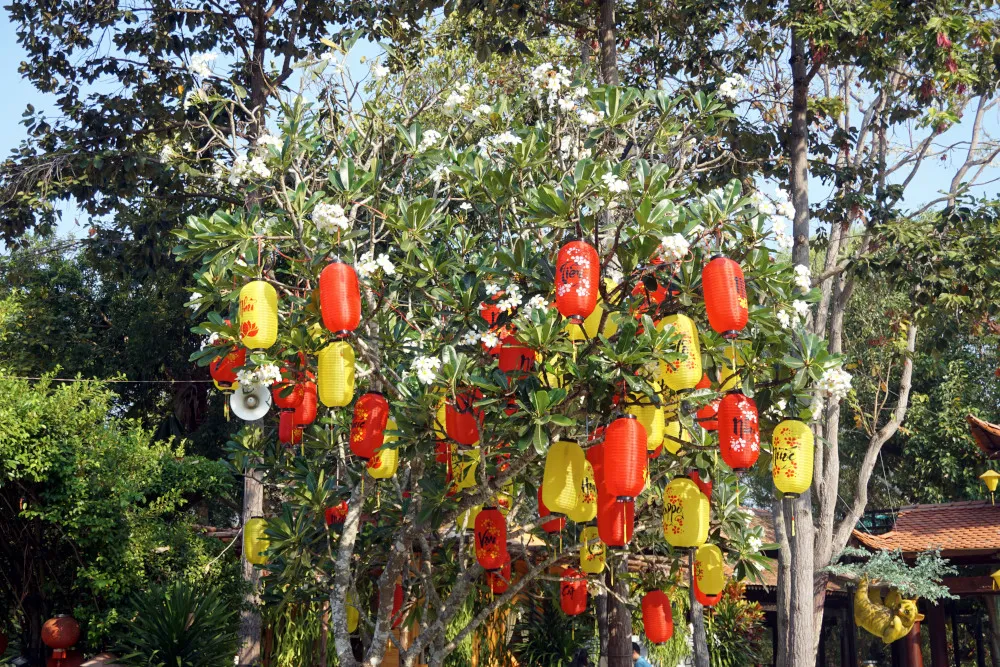  Tree covered in Lanterns fruit