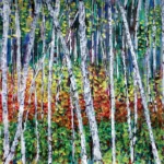 Birch trees stand is always a good place to stand