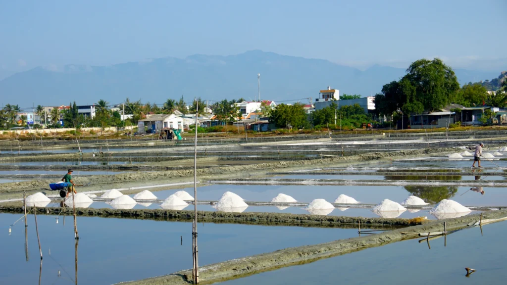 Nui Chua sun salt crystals