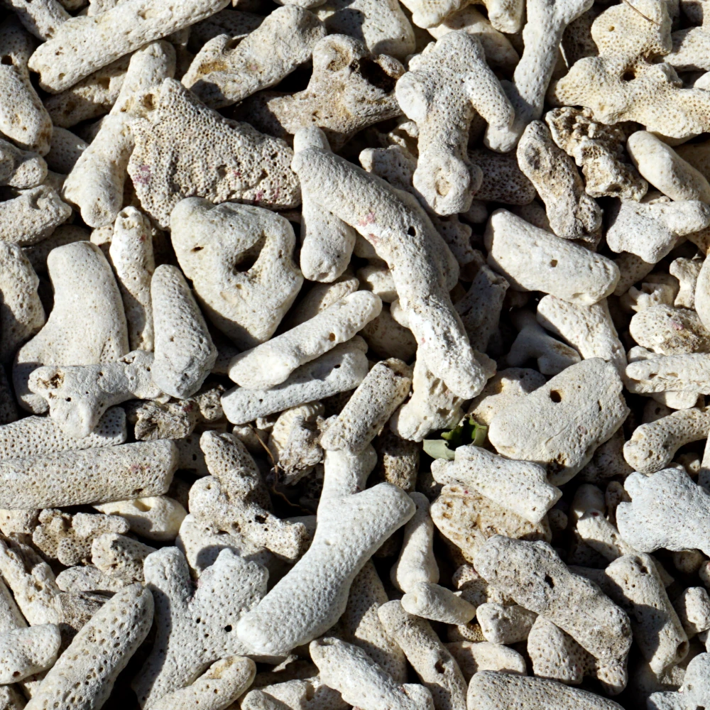 Hang Rai the Otter Cave