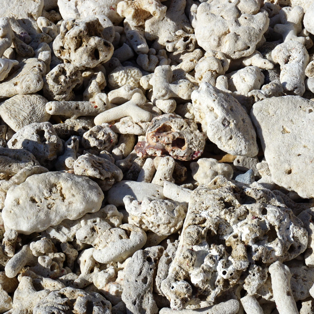 Hang Rai the Otter Cave