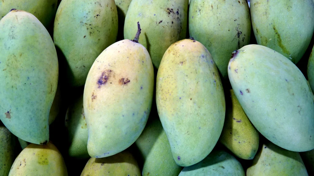 Green mango have any color as long as it's green.