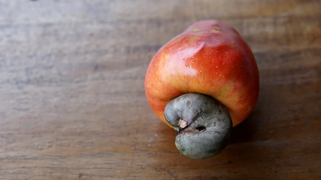 Ooh La La What a Cashew