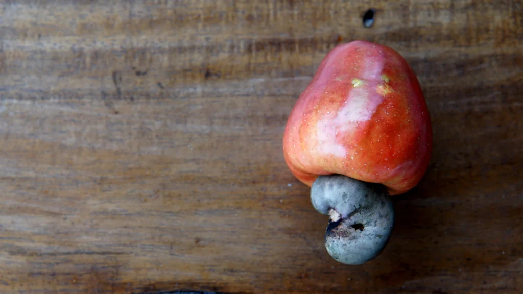 Ooh La La What a Cashew