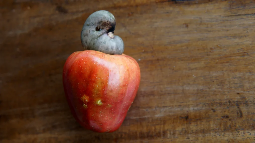 Ooh La La What a Cashew