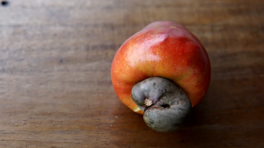 Ooh La La What a Cashew